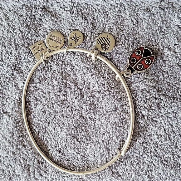 Alex And Ani Bracelet - Picture 1 of 4